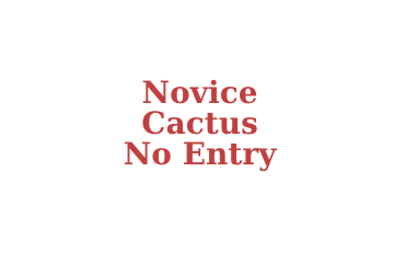 Novice Cactus No Entry
