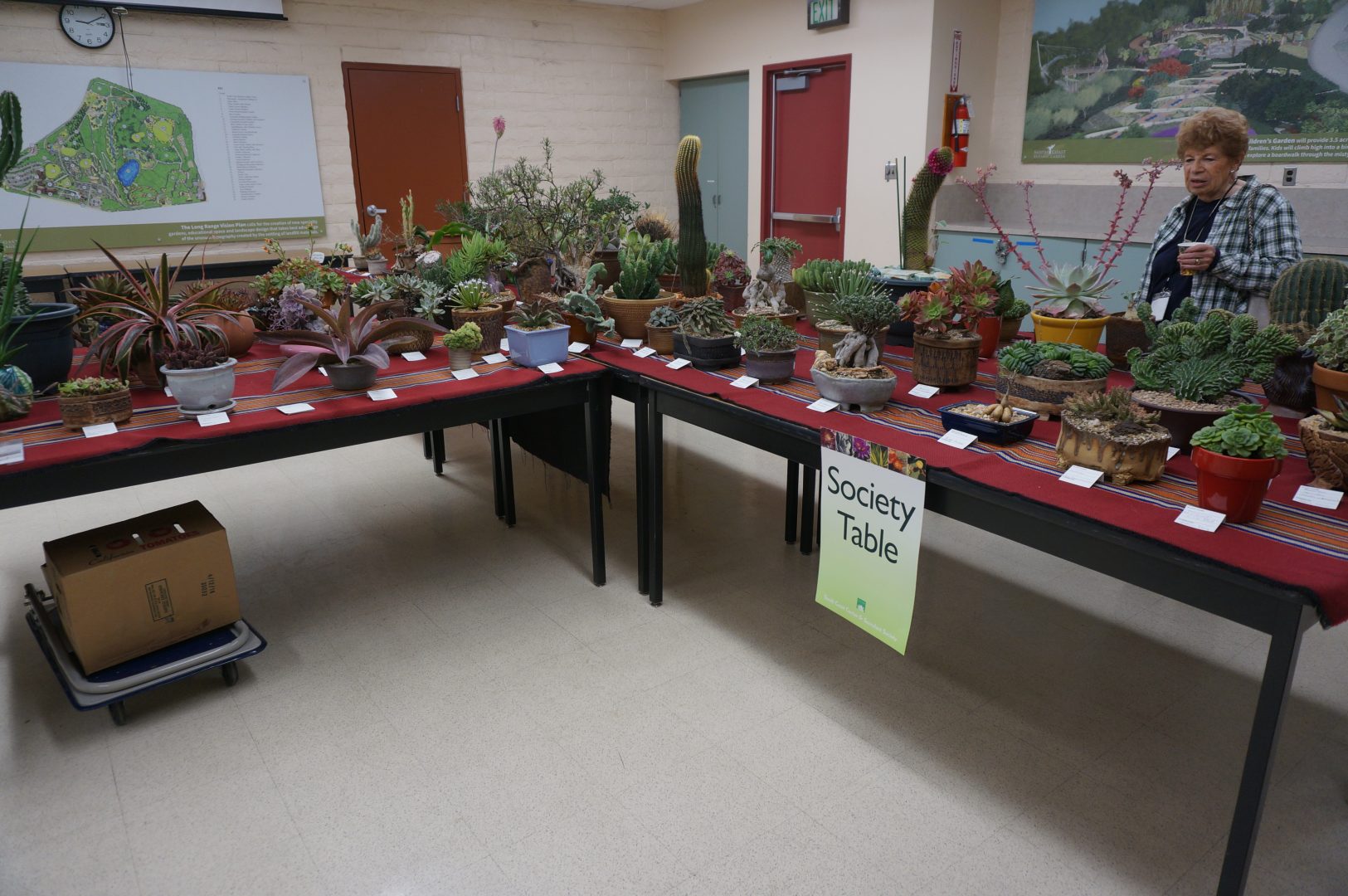 Society Club member's display plants