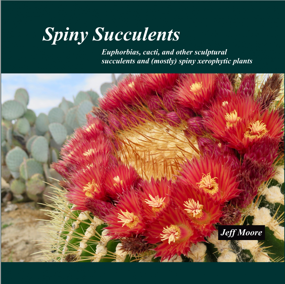 Spiny Succulents Book Cover