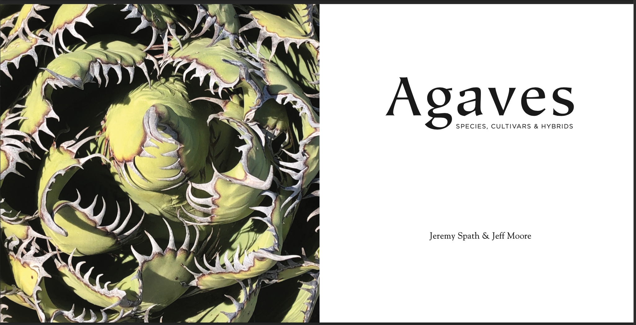 Jeff Moore - Agaves: Species, Cultivars & Hybrids 01