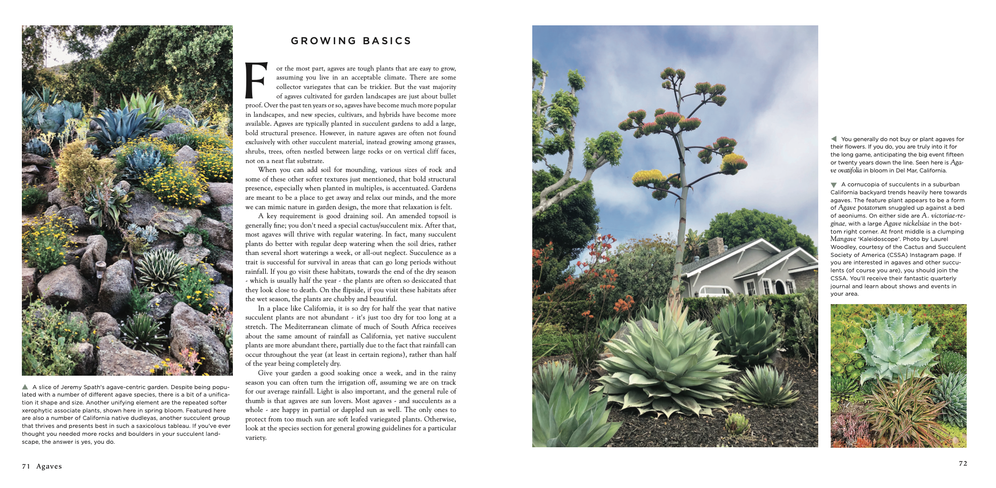 Jeff Moore - Agaves: Species, Cultivars & Hybrids 02