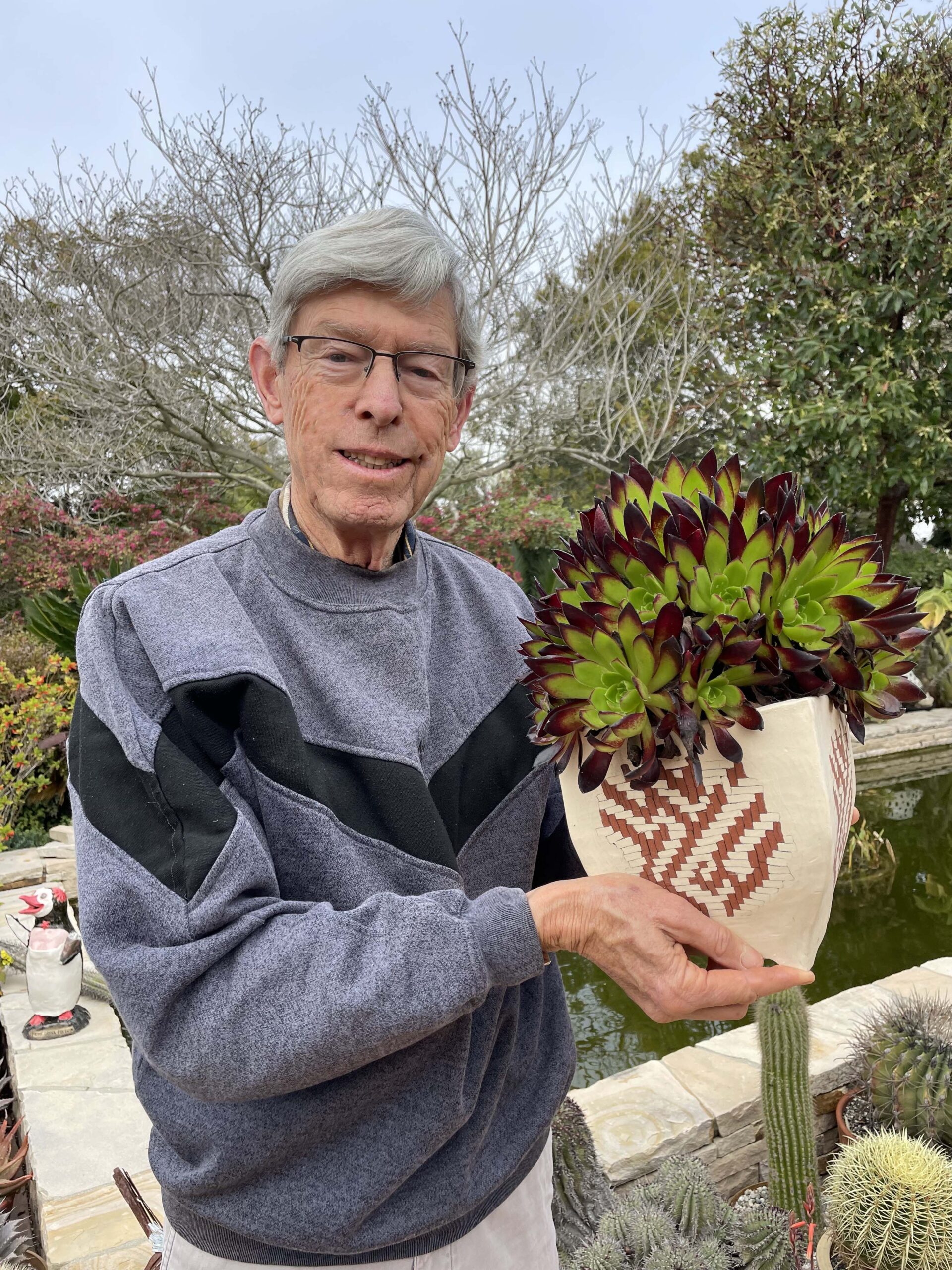 Aeonium 'Merlot' in a Jim Gardner pot