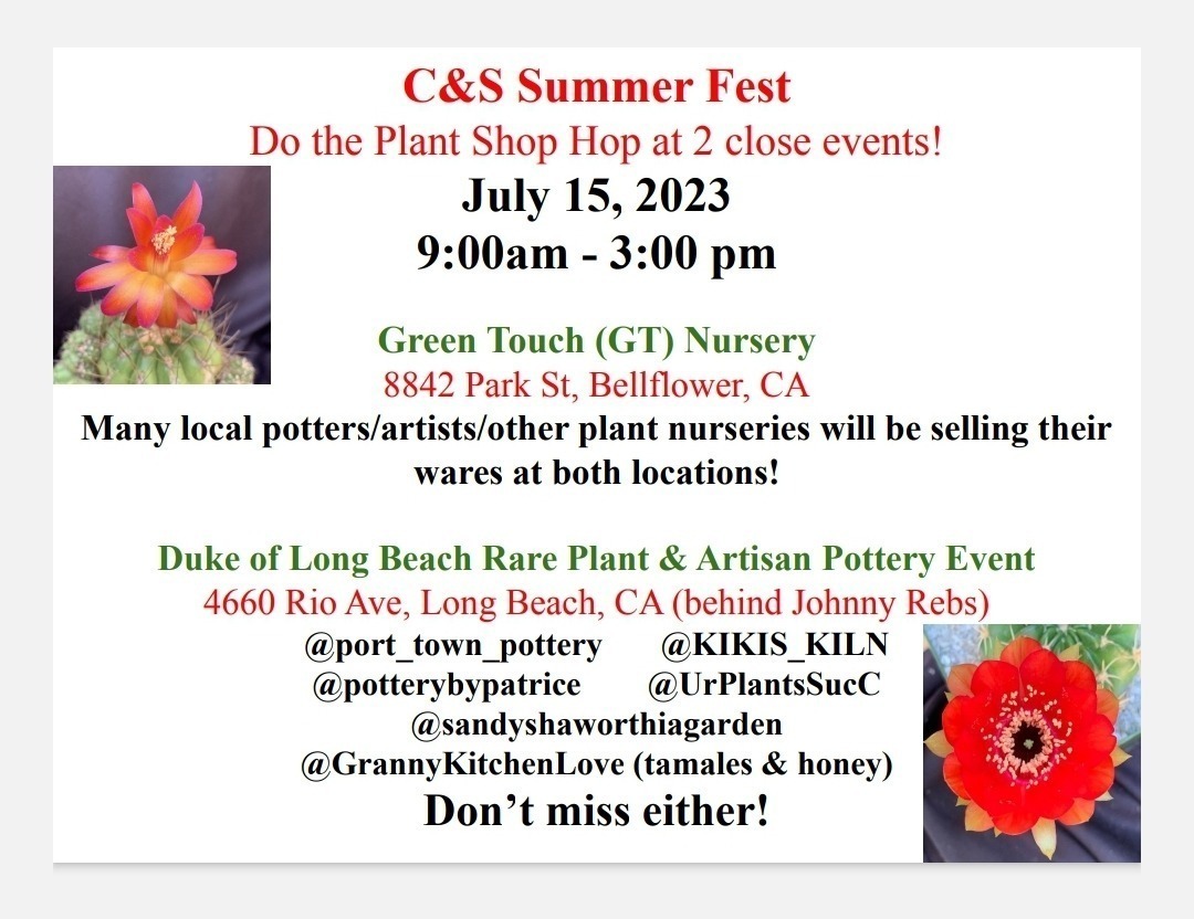 C&S Summer Fest