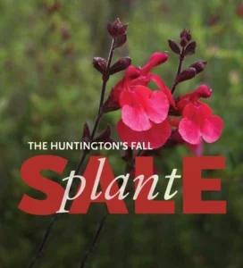 Huntington Fall Sale image