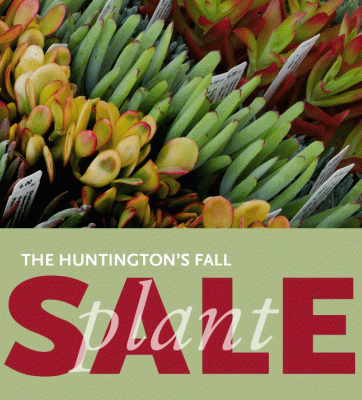 Huntington Fall plant sale